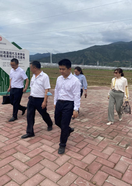 636df91983c3f.png image.png