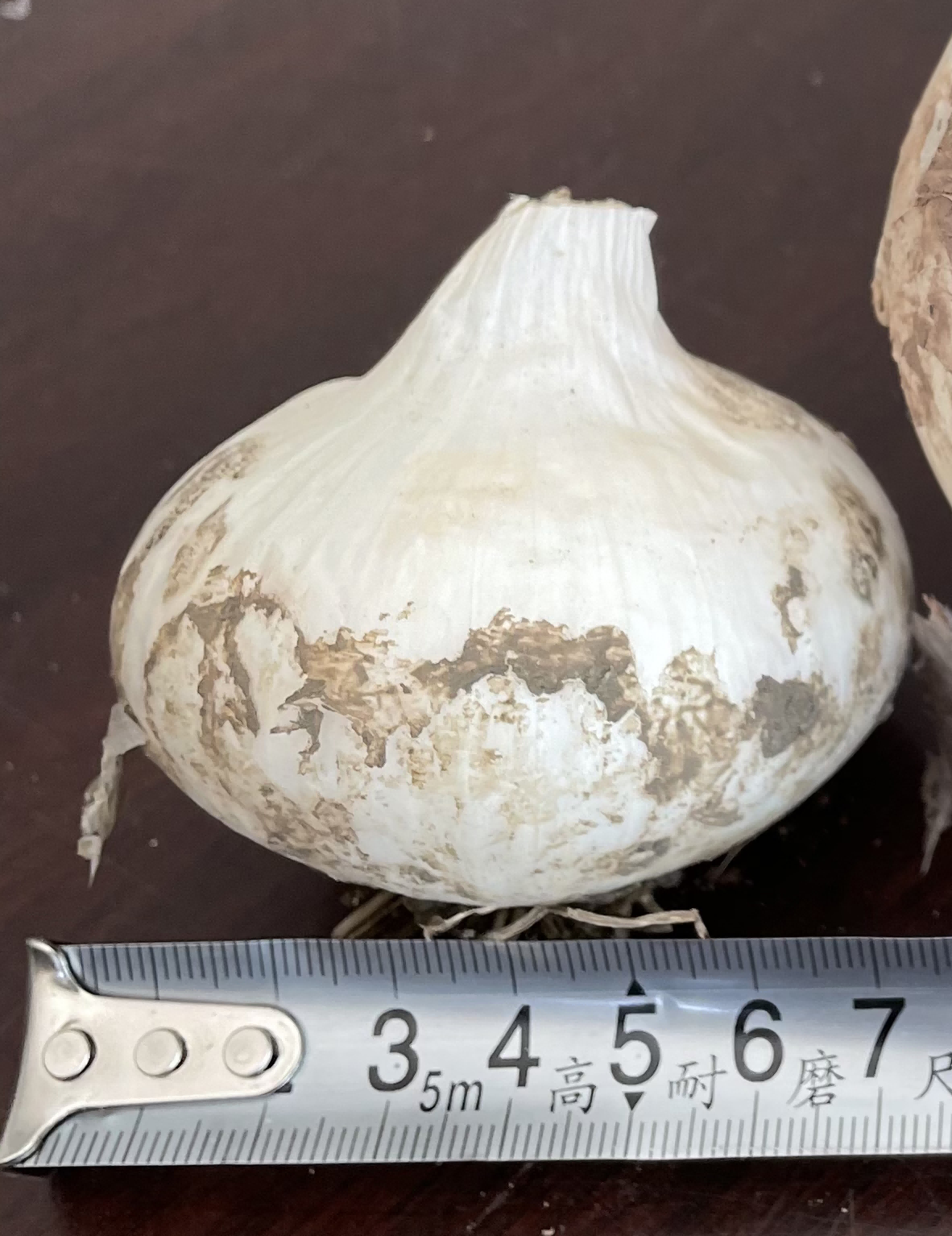 6423a3bde9fa2.png 6423a3bde9fa2.png