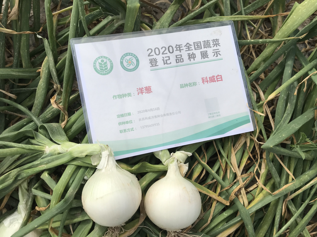 6423a3e5866b1.png 6423a3e5866b1.png