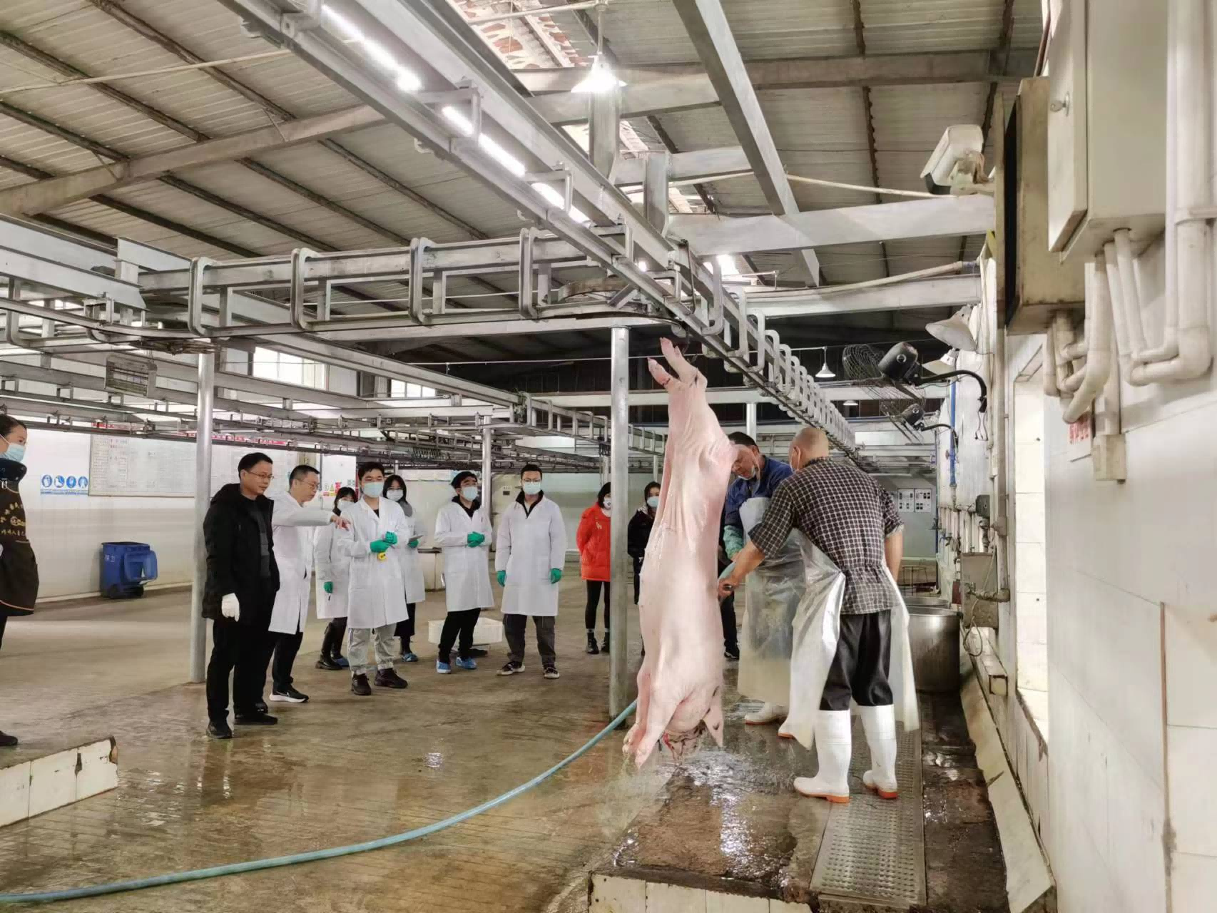 64252feff23c1.png 64252feff23c1.png