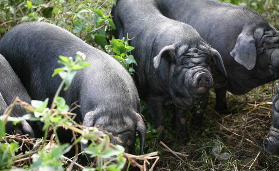 642530de13931.png 图片4.png