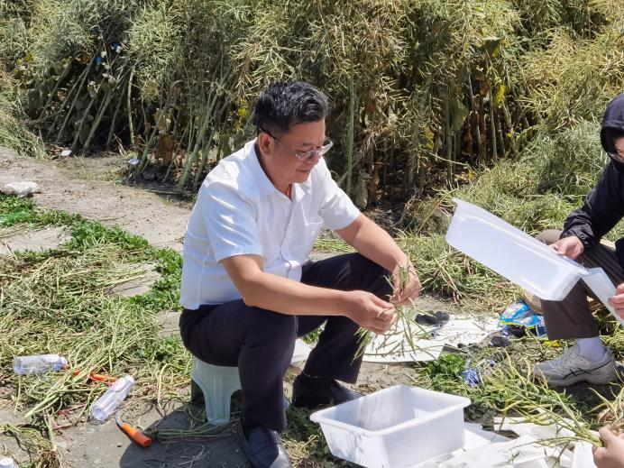 64584ee9c28c0.png 割油菜2.png