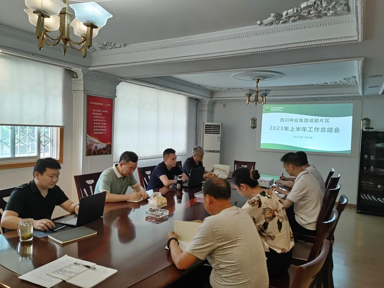 成都片区权属企业召开上半年工作总结和下半年经营分析会.png