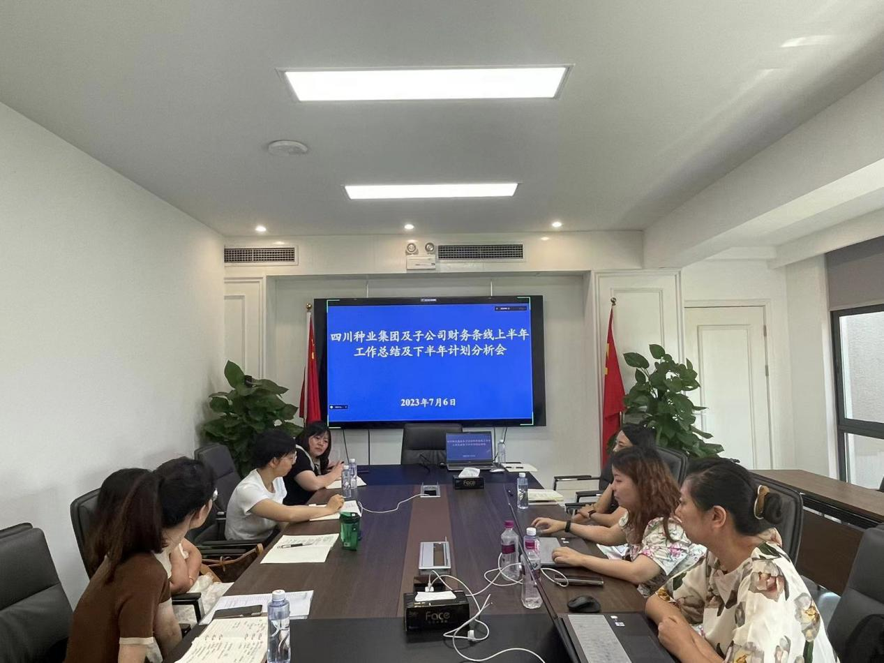 64a8c7b903e22.png 四川种业集团财务上半年工作总结及下半年工作计划分析会.png
