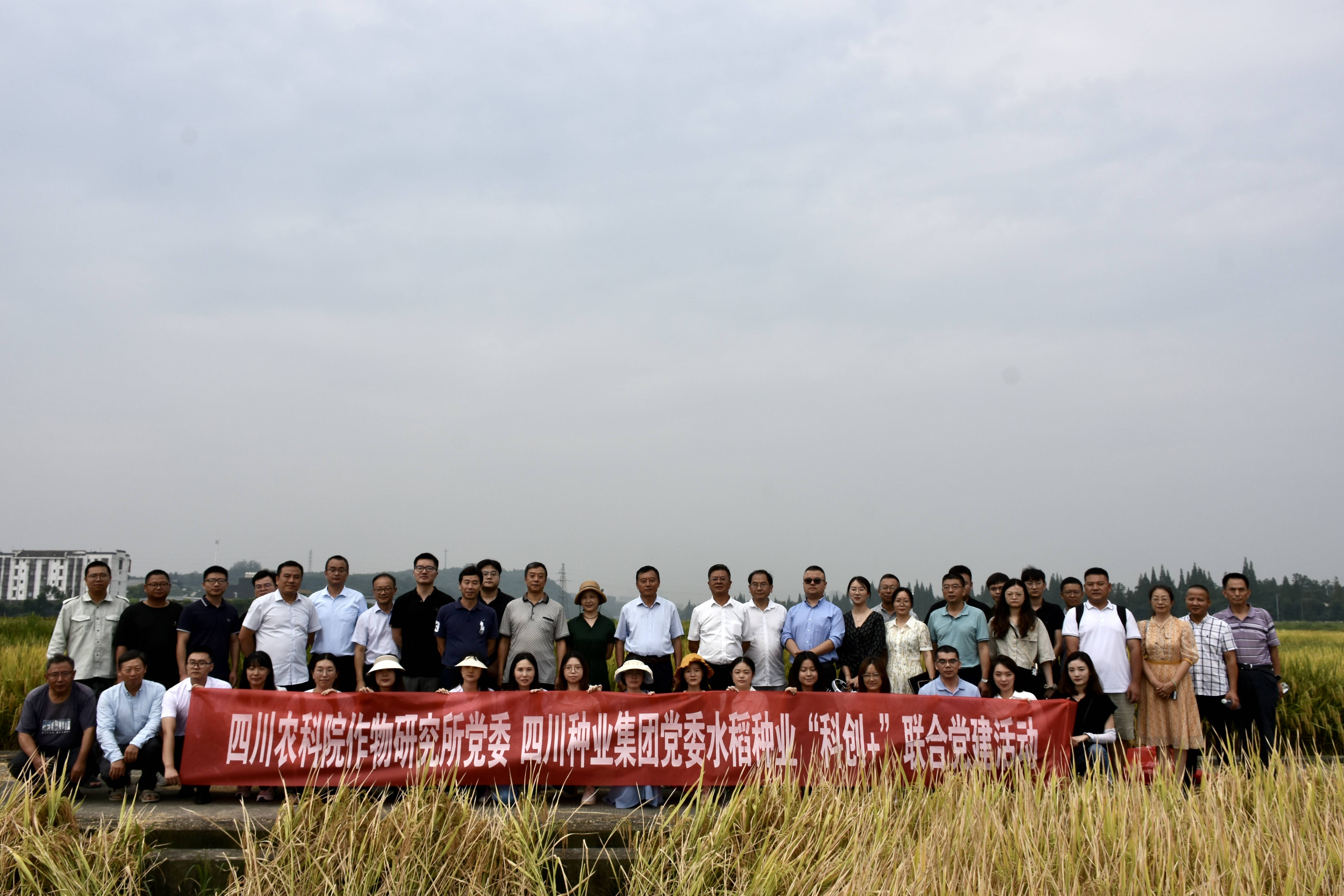 四川现代种业集团 省农科院作物研究所 联合开展水稻种业“科创+”党建活动
