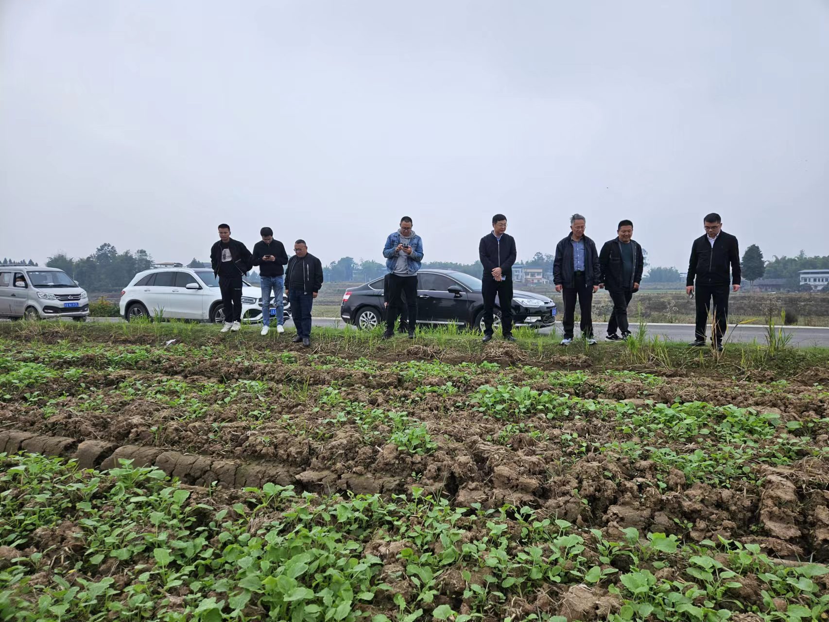 西南大学李加纳教授一行调研指导川东（广安）油菜基地种业产业项目