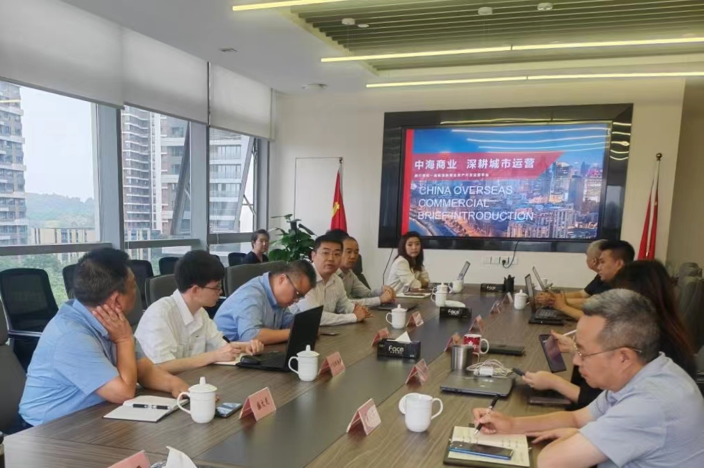 663ecd2a89770.jpg 成都片区召开中成市场二期项目开发工作推进会1.jpg