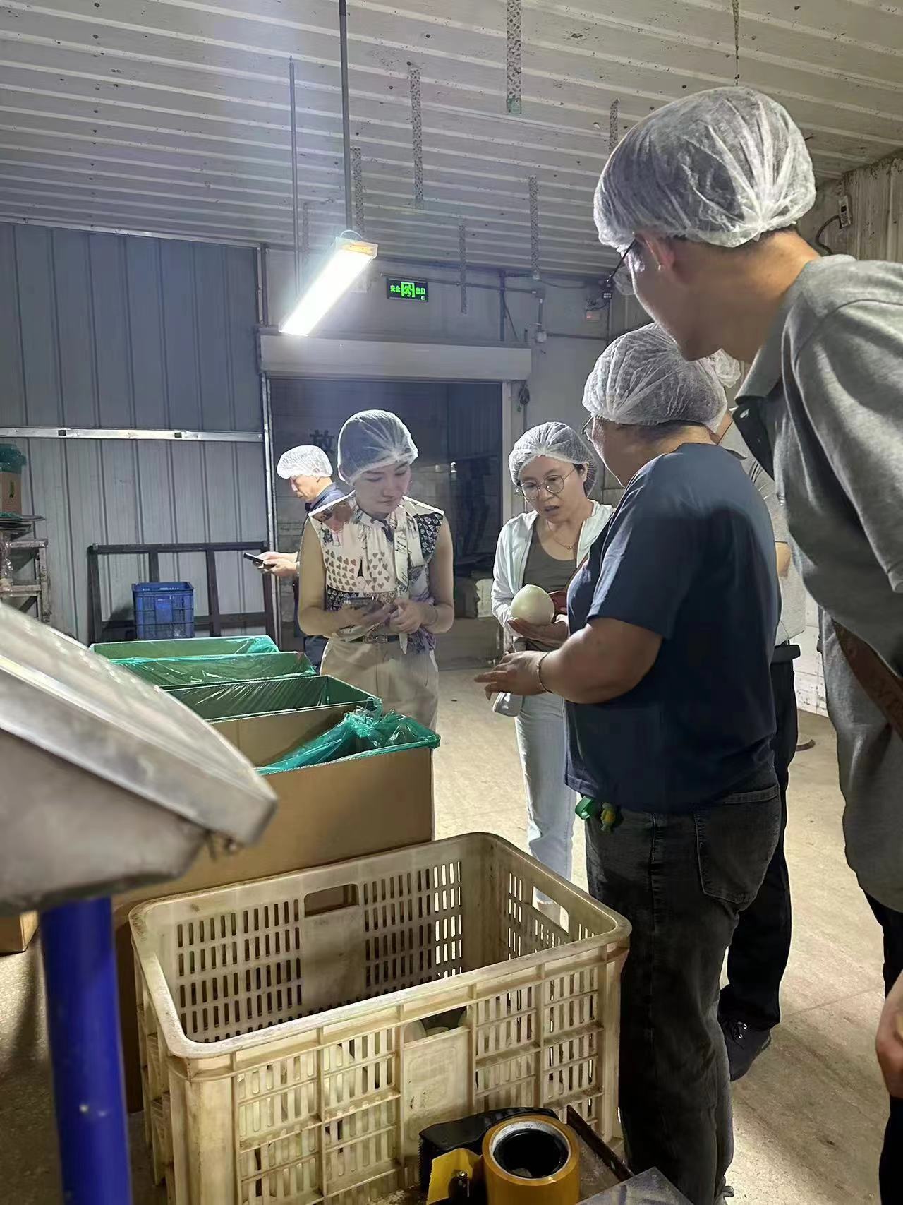 666b99e7b16f6.jpg 科威洋葱种业赴山东开展洋葱加工出口业务考察交流1.jpg