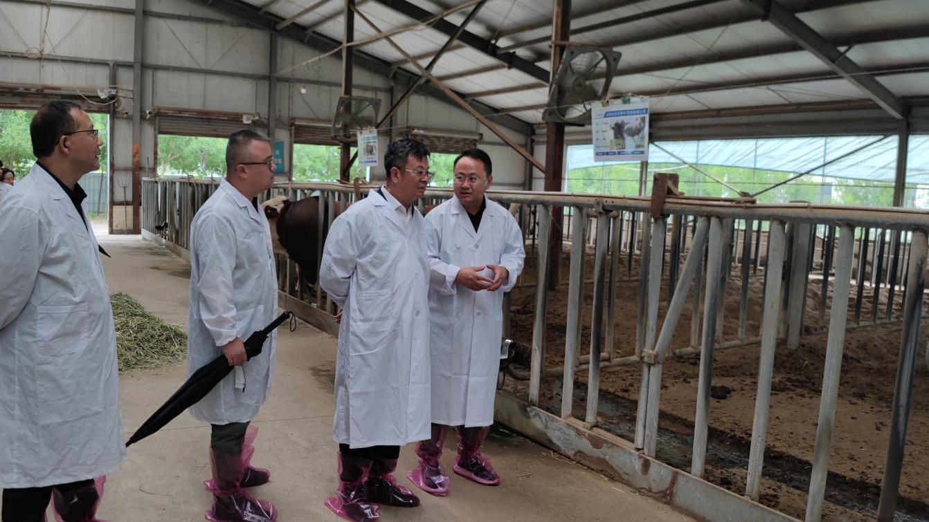 66863692c06f4.png 2024年7月2日四川现代种业集团赴河南种业集团调研座谈1(史志玉拍摄).png