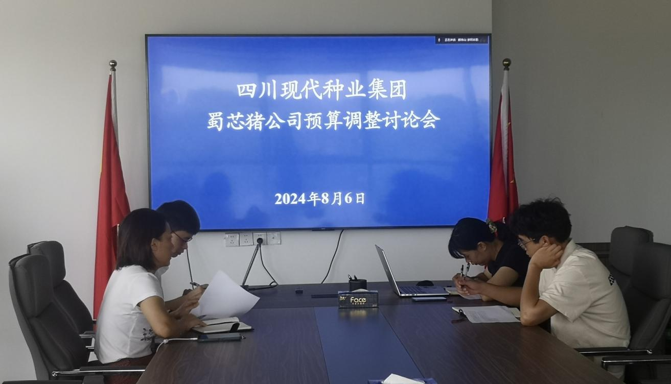66b31d262c0a1.png 集团计划财务部召开蜀芯猪公司预算调整讨论会.png