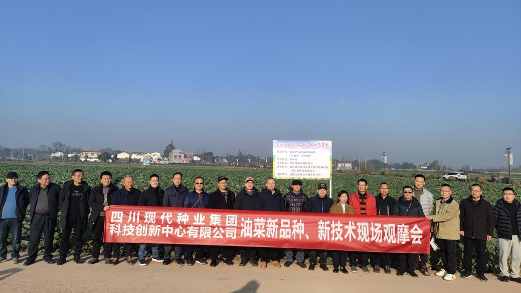 6773c9533466b.png 科创中心联合多家单位举办油菜新品种、新技术观摩会2.png