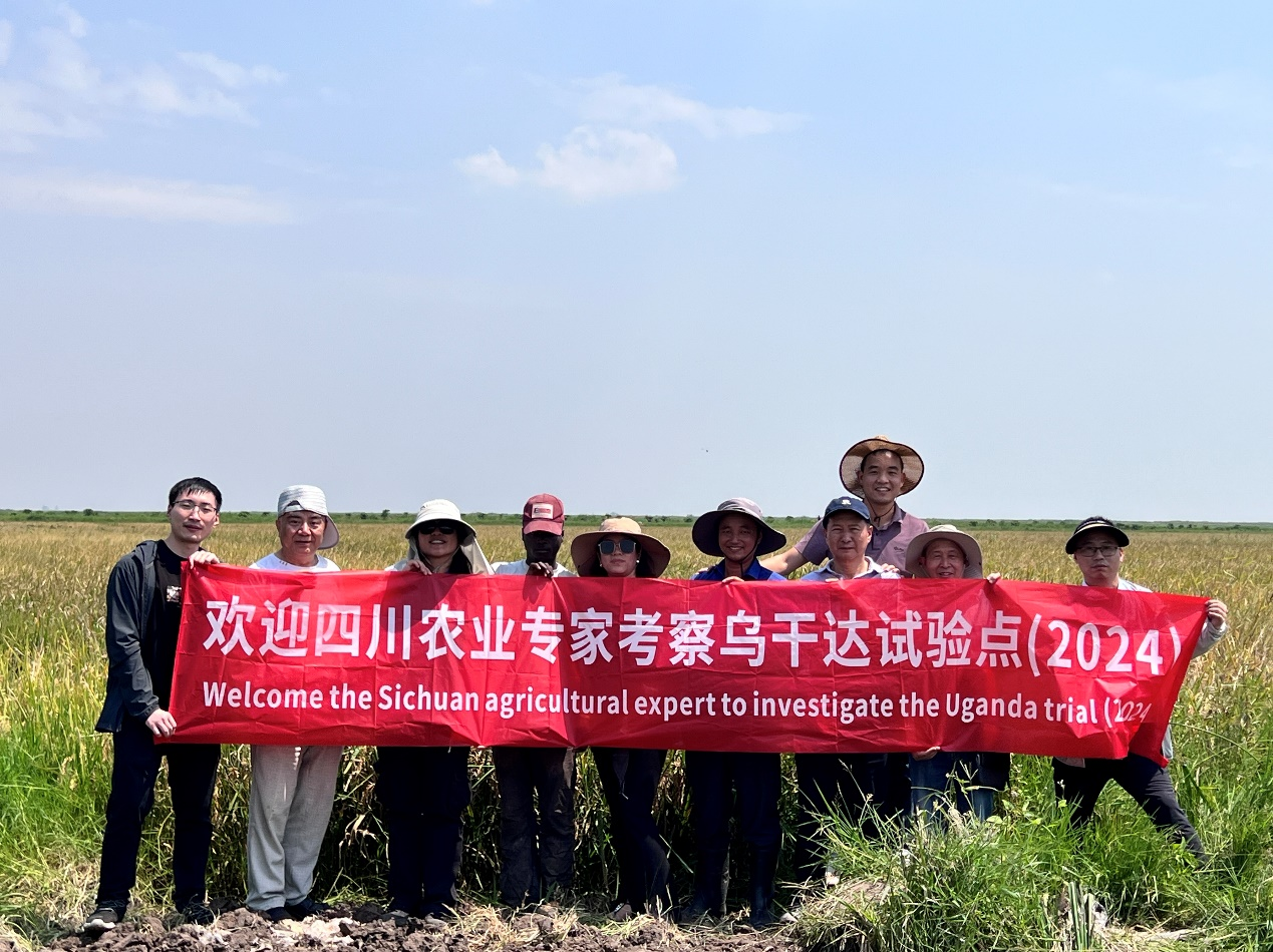 四川农业专家团考察仲衍种业乌干达试验点