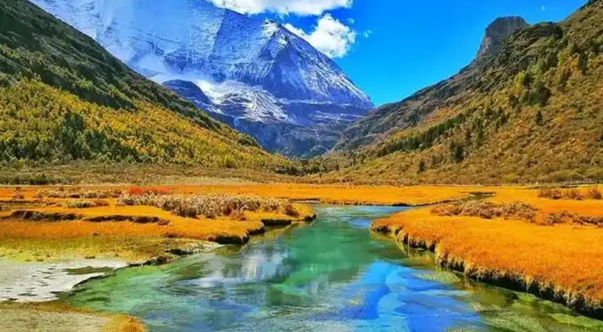 四川现代种业集团专题研究稻城县托底性帮扶工作