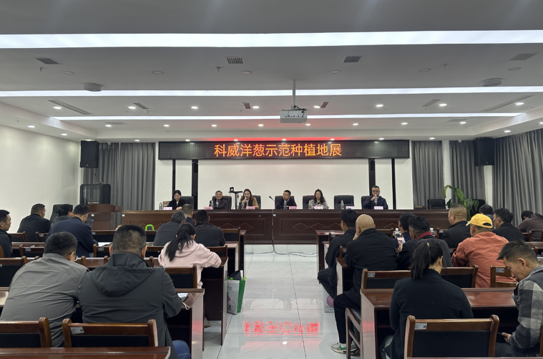 西昌科威洋葱种业公司举办示范种植地展活动