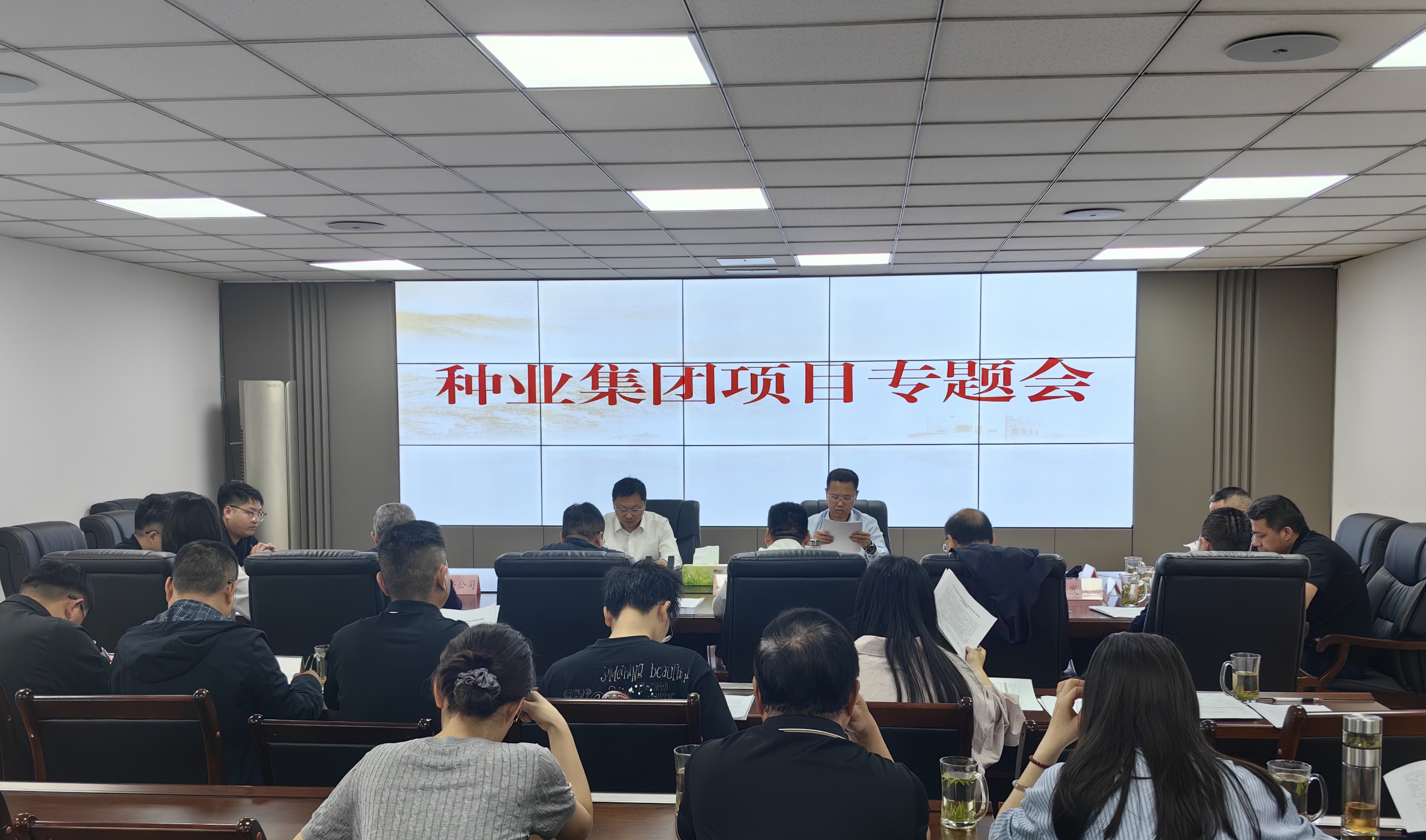 三台县组织召开四川现代种业集团项目专题会