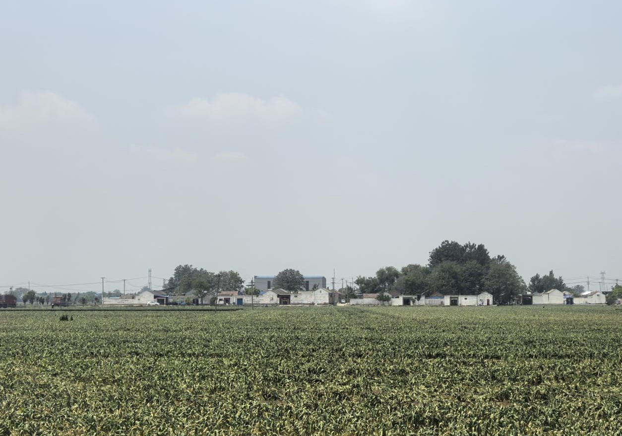 南充川北公司跨省考察蒜苔产业链 拓展业务谋发展