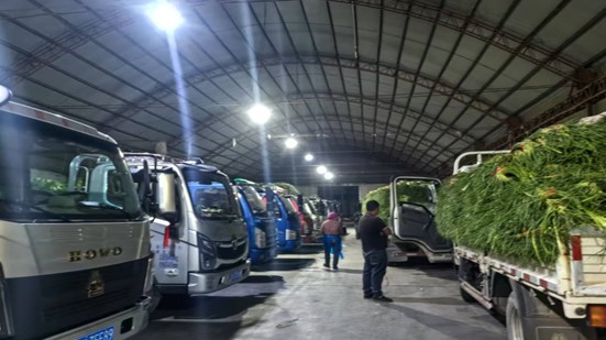 6819dee0bb01c.jpg 图片3.jpg