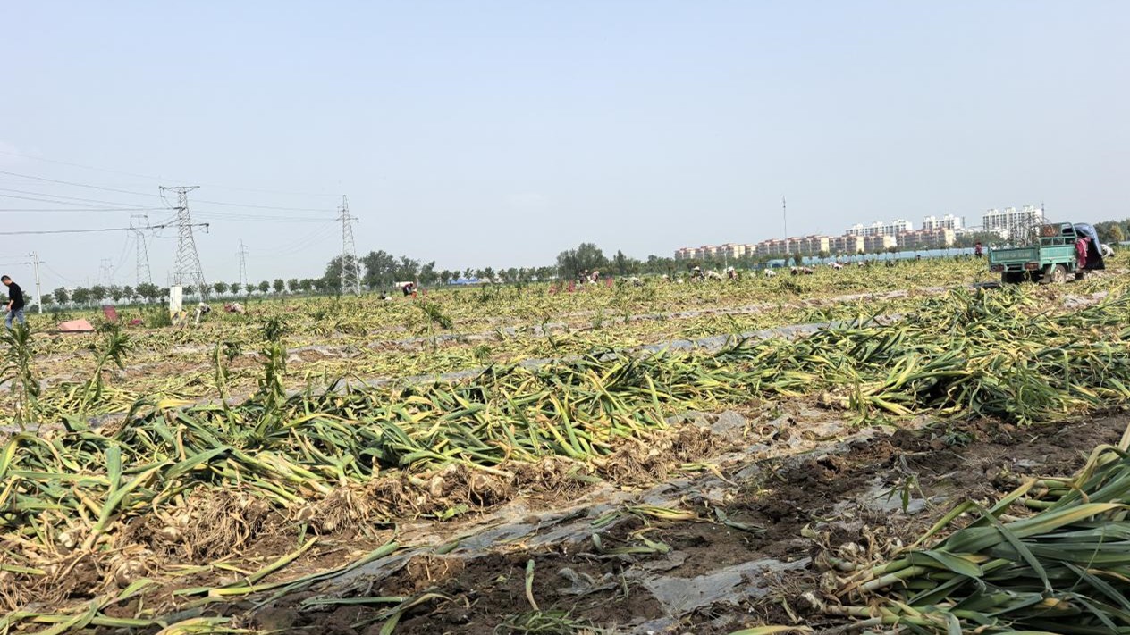 6819def061af3.jpg 图片2.jpg