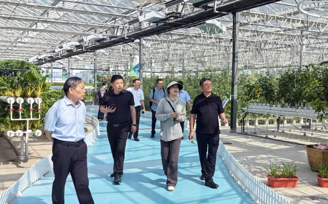 682be85eea0f6.jpg 1-3.jpg