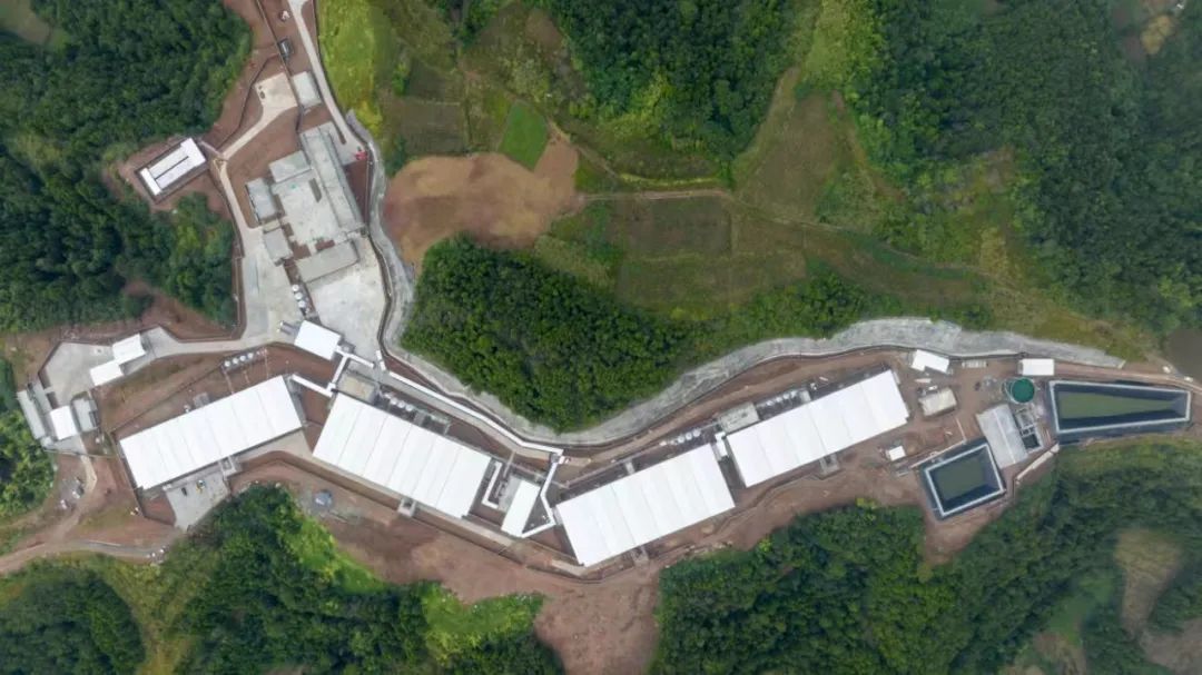 68885d858b706.jpg 7.10蜀芯猪商品猪出栏配图3.jpg