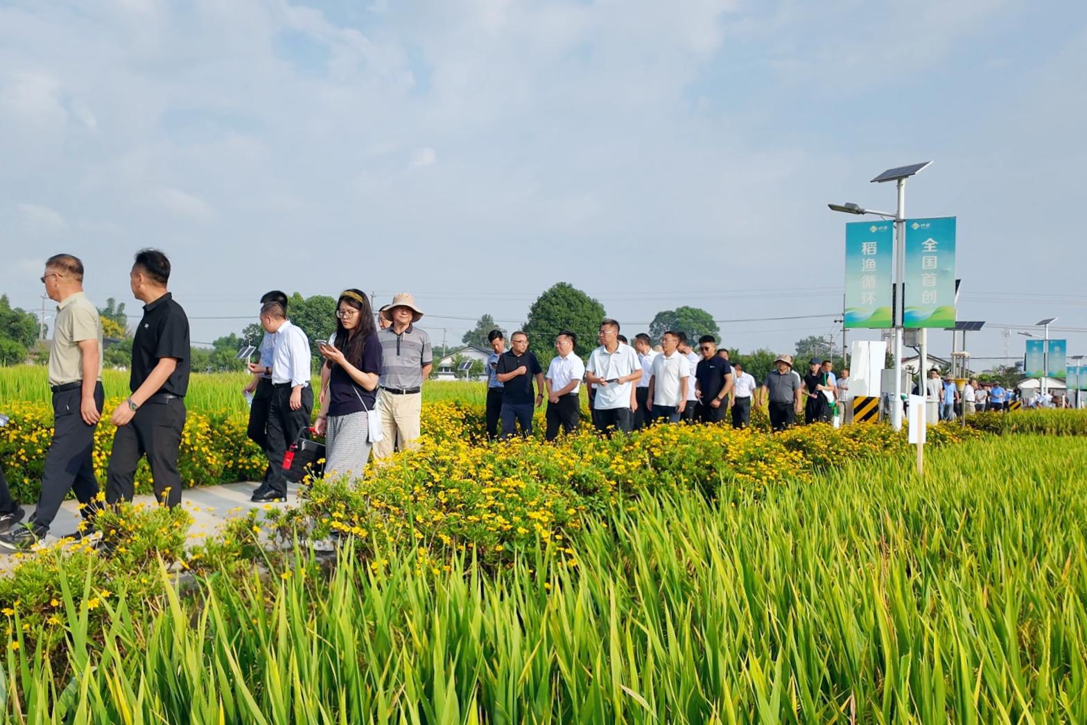 68c231d7d2c74.jpg 9.11种芯替换1.jpg