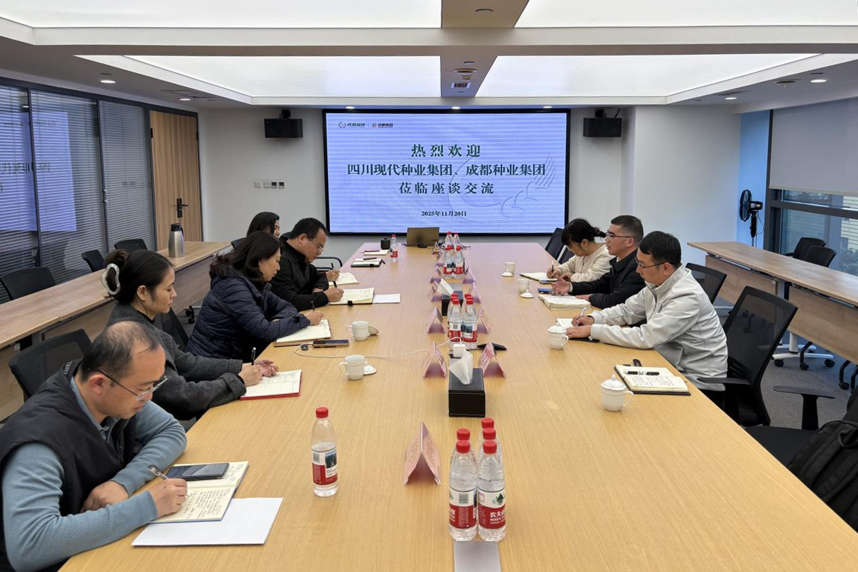 蜀丰种源公司与成都粮食集团、成都种业集团开展合作洽谈