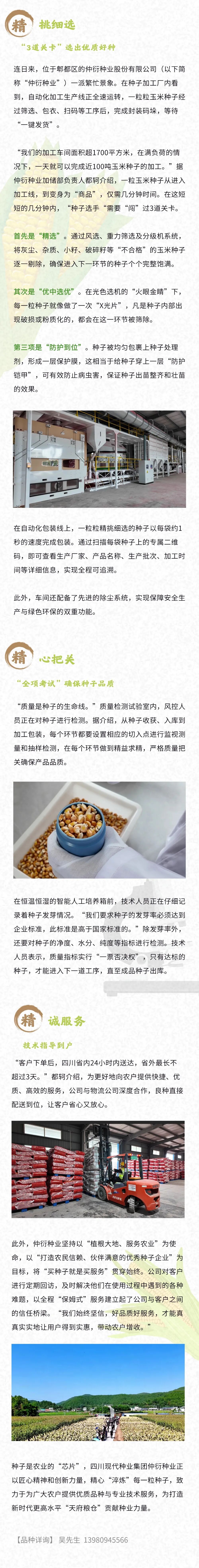 6925540978c4a.jpg 仲衍种子加工线挂网pic2.jpg