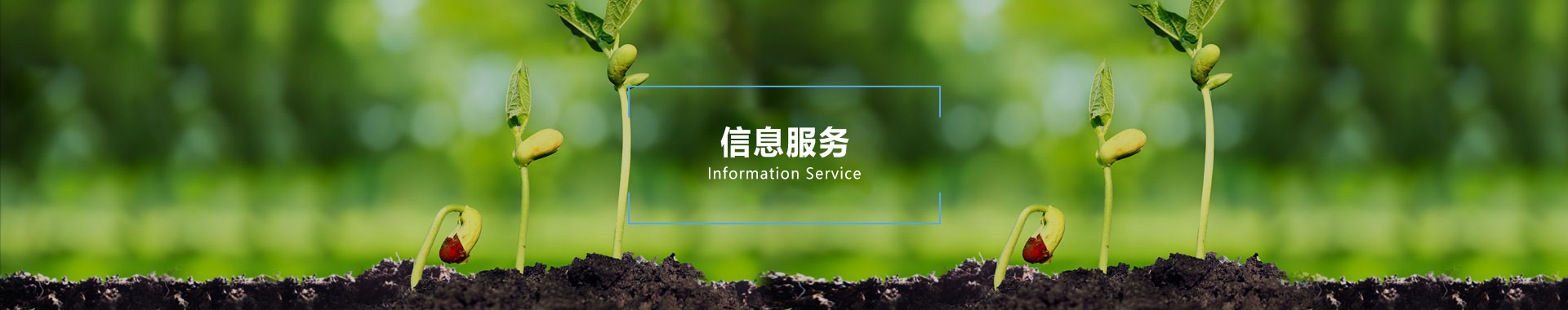 信息服务