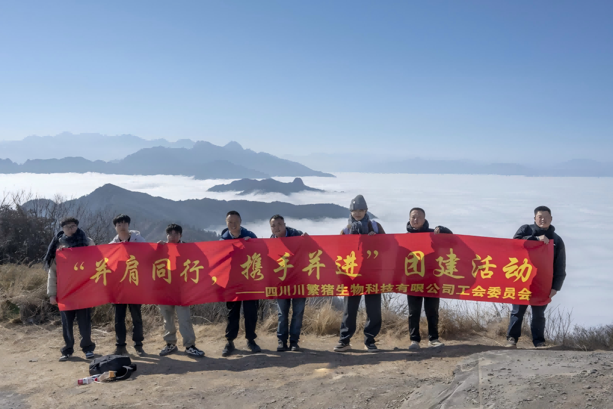 69773a0d5da97.png 川繁猪团建jpg(1).png