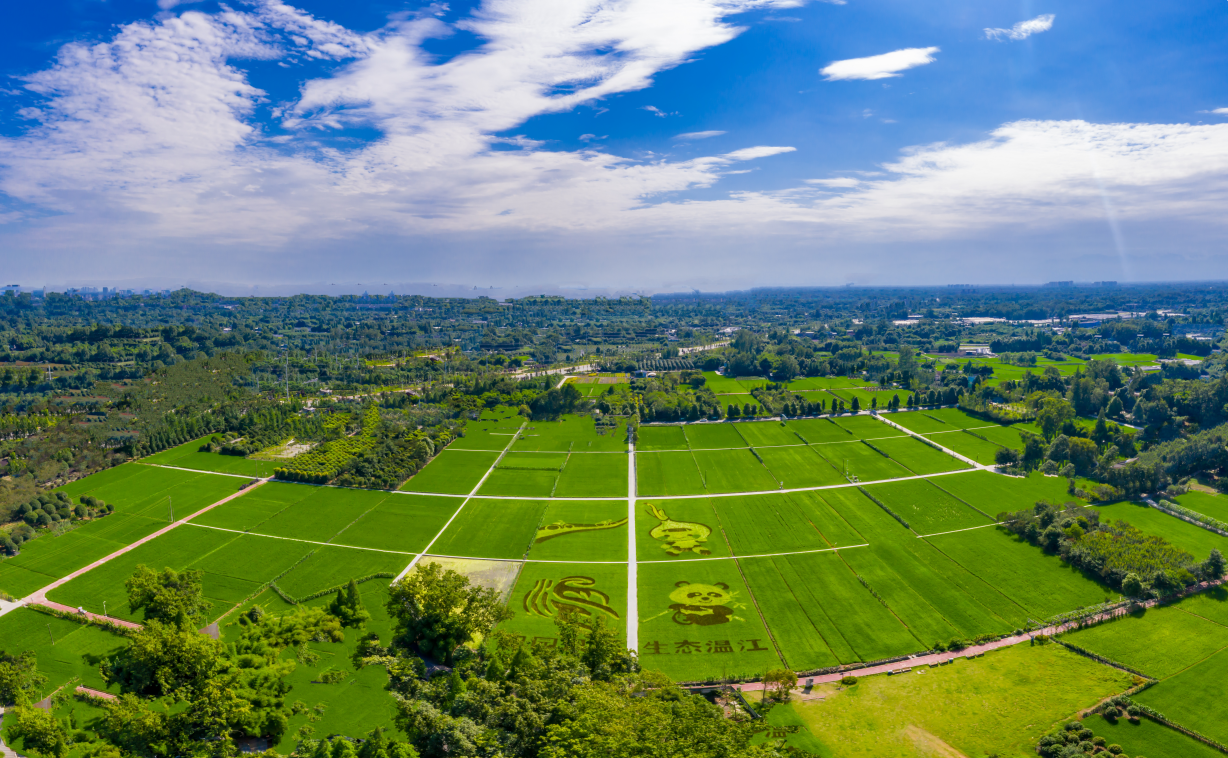 697821bd91881.png 25.6.6赵云做客省政府网站“在线访谈”栏目结尾pic.png