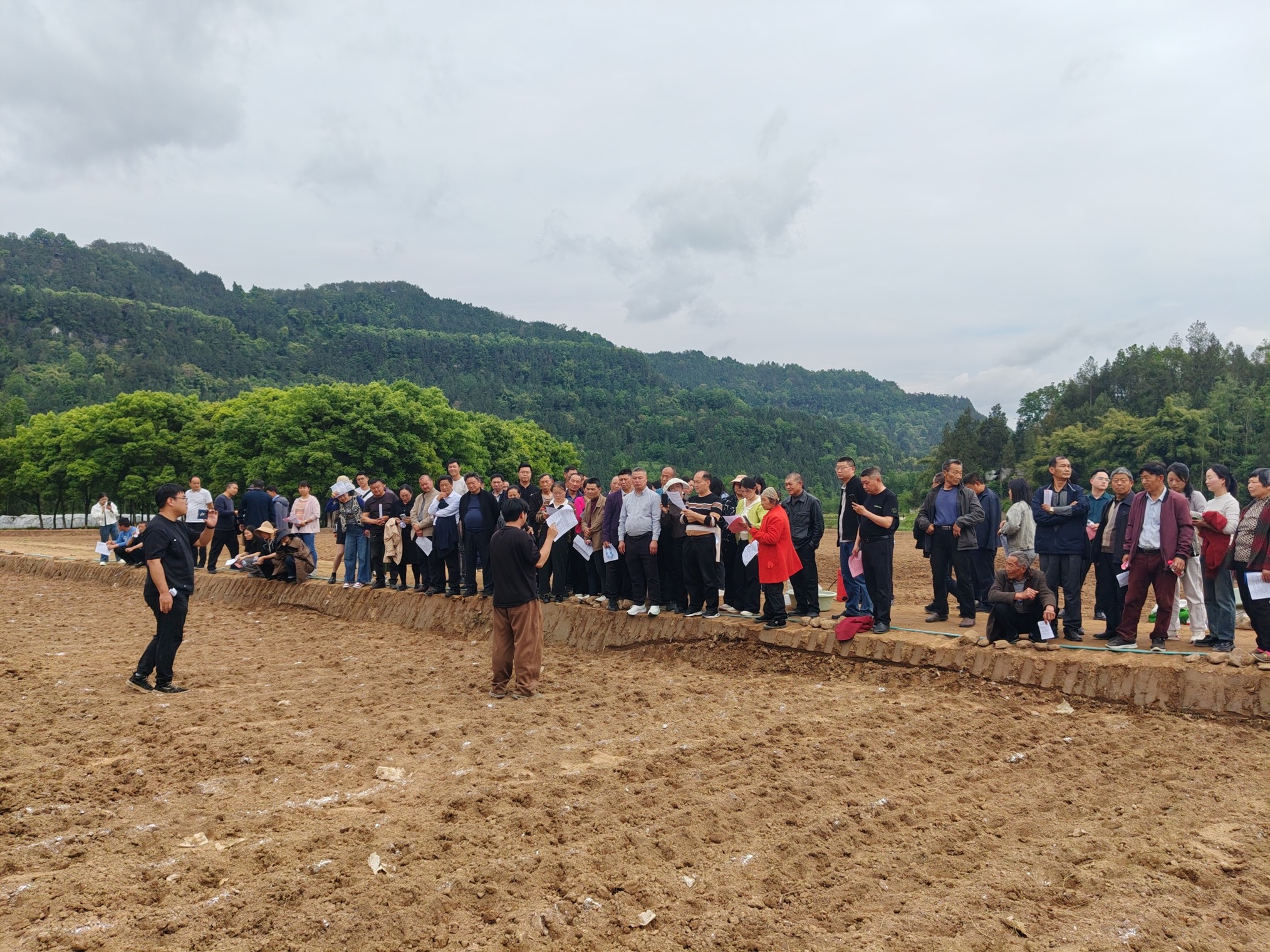 成都蜀丰种源公司与巴中市恩阳区农业农村局联合开展抗旱节水稻栽培技术培训