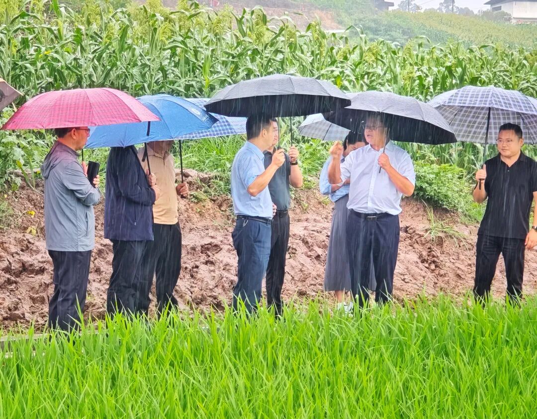 易飞赴种芯农业公司调研